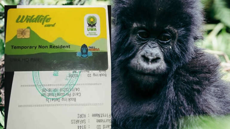 How to Book Gorilla Permits