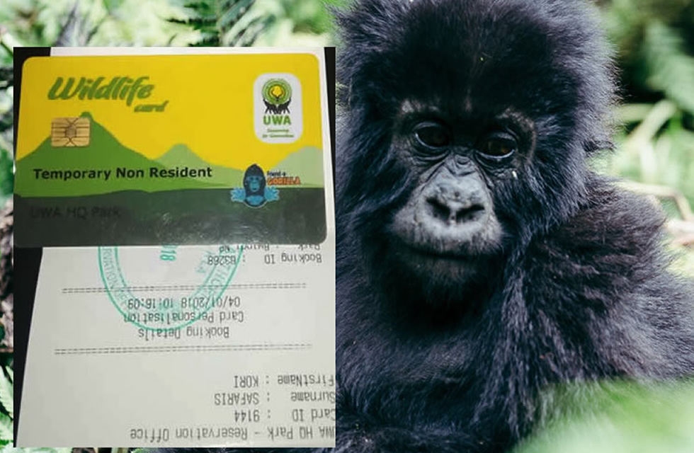 How to Book Gorilla Permits