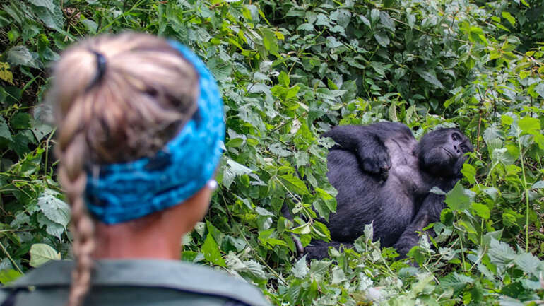 Best Practices to Gorilla Tourism Development