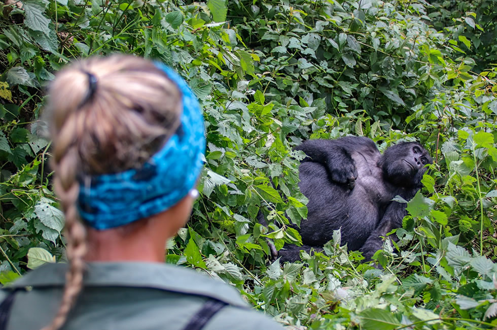 Best Practices to Gorilla Tourism Development