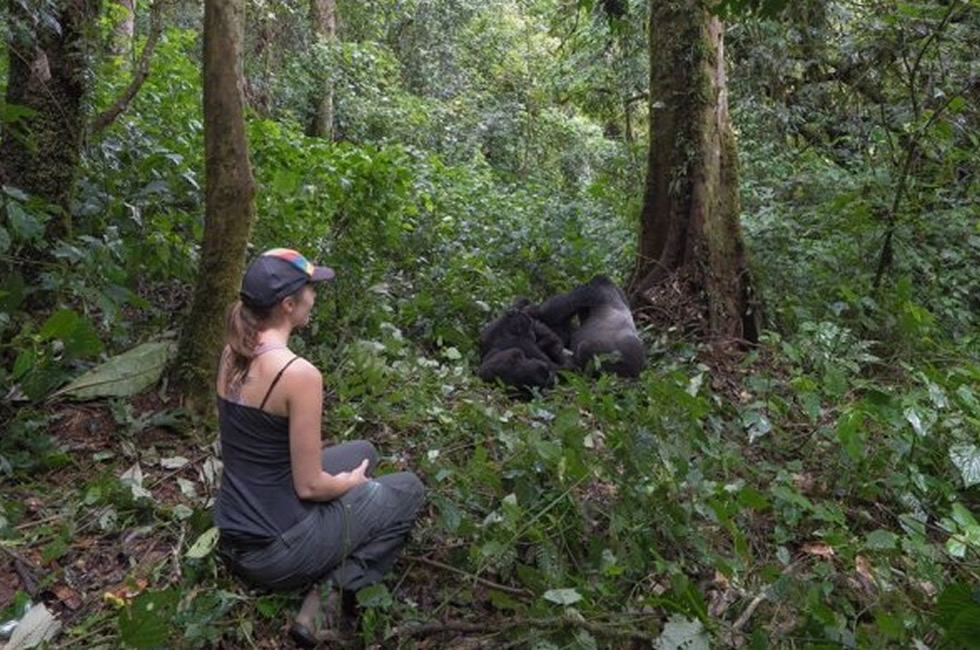 5 Things You Cant Forget About Gorilla Trekking