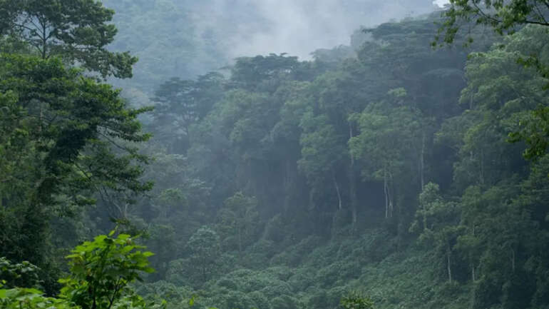 Virunga National Park’s 90 years of Highs and Lows