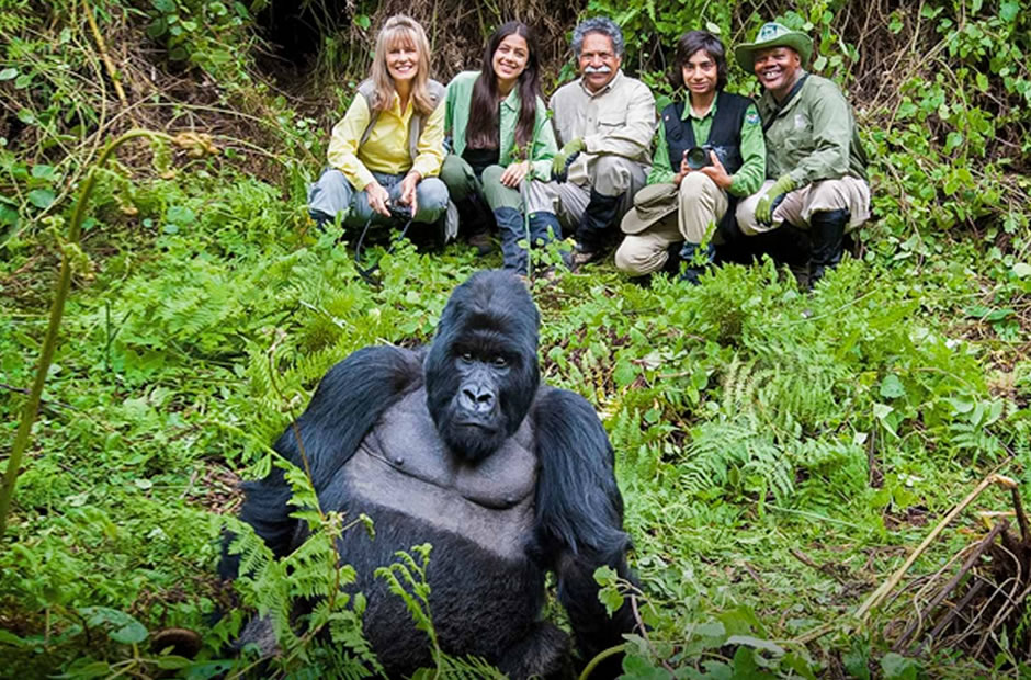 Comparing Gorilla Trekking in Rwanda, Uganda and Congo