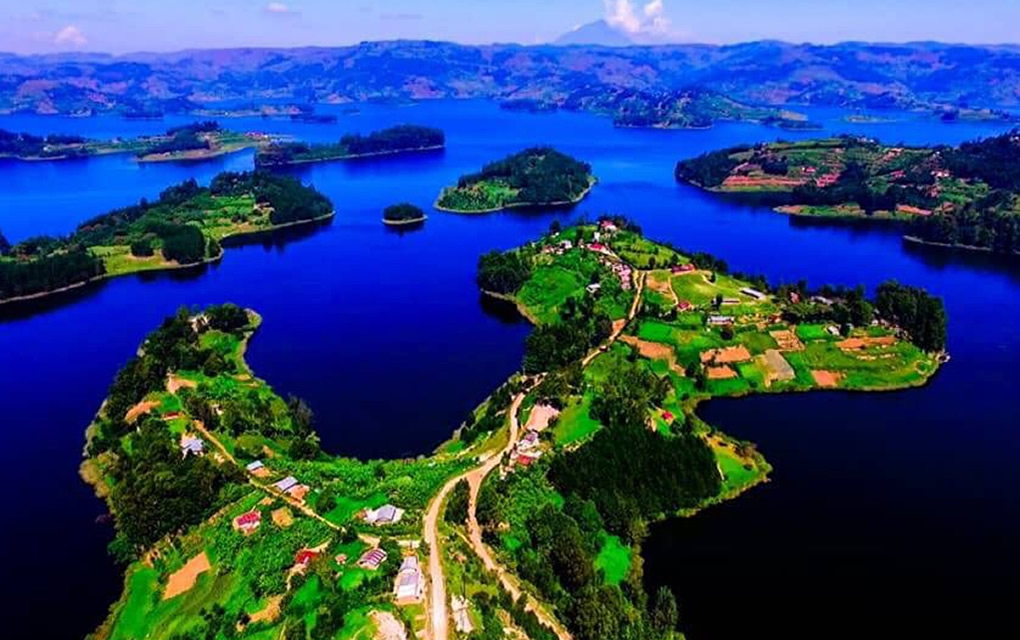 Mountain Gorillas and Lake Bunyonyi