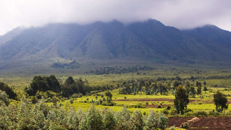5 Things to Know About the Virunga