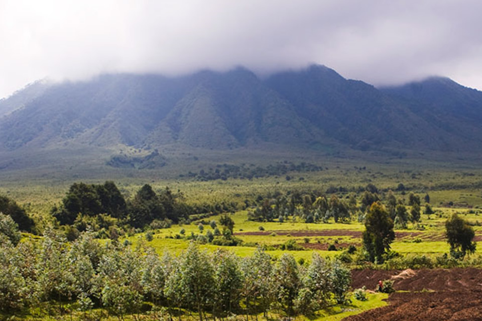 5 Things to Know About the Virunga