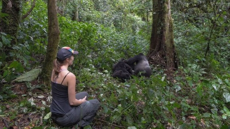 Is Mountain Gorilla Trekking Safe?